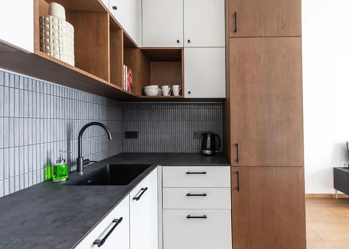 Apartament Cosy Paupys Wilno